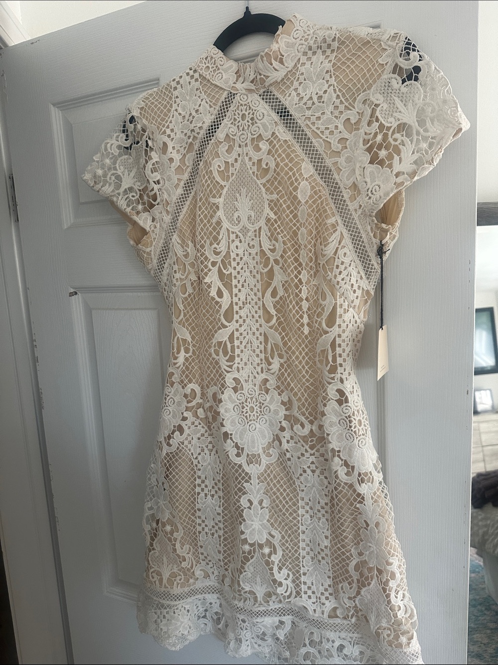 superdown Ivory Lace Mini Dress with Nude Lining